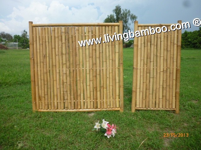 Bamboo Fence