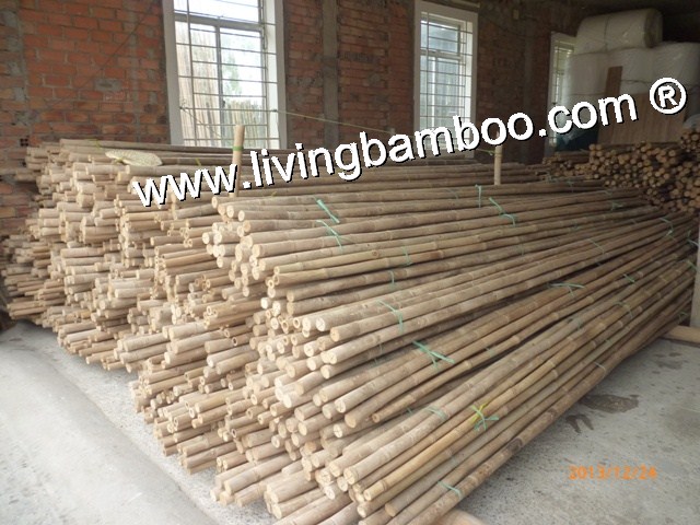 NATURAL ROOT TAM VONG BAMBOO POLE