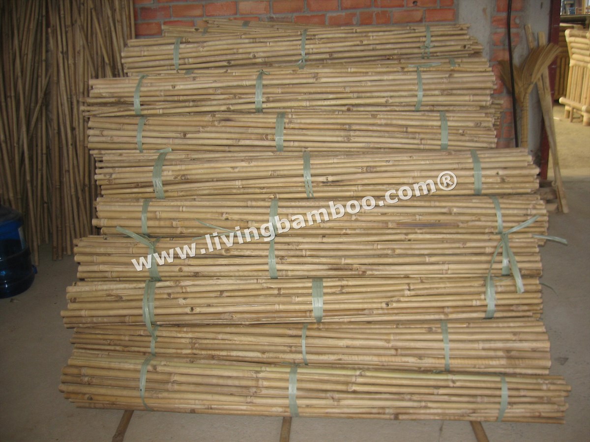 NATURAL TAM VONG BAMBOO POLE SOLID, DURABLE