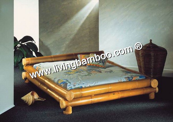 BINH DINH BED