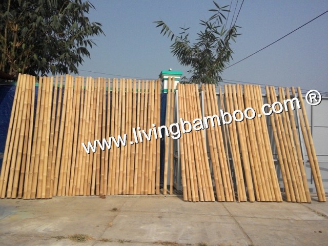 Bamboo pole