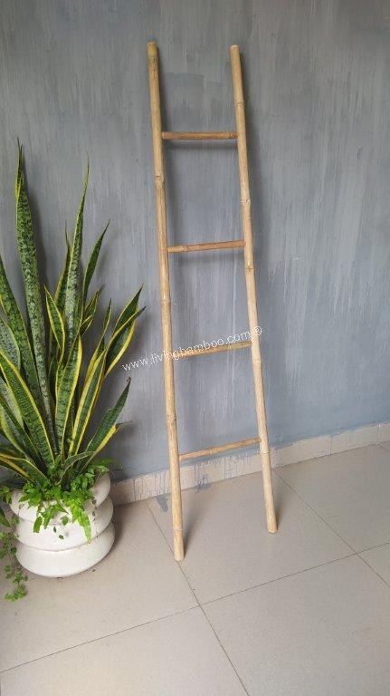 bamboo ladder